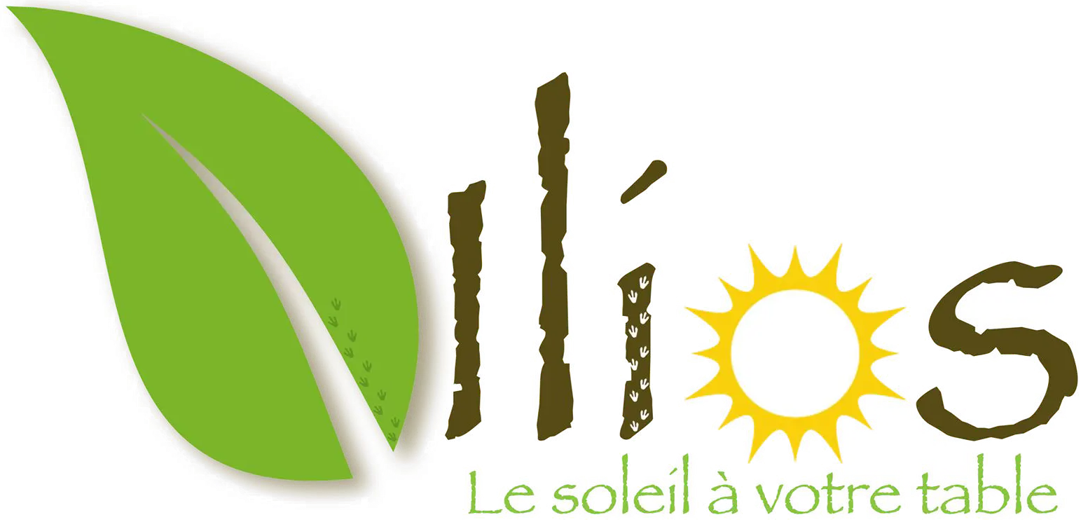 Ilios Saveurs